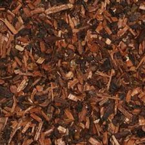Organic Honeybush Tea