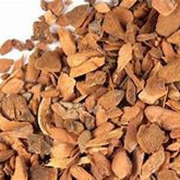 Organic Sassafras Root Bark