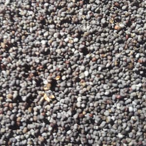 Poppy Seeds