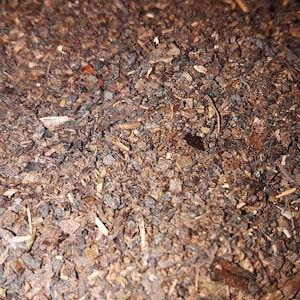 Thai Tea Blend