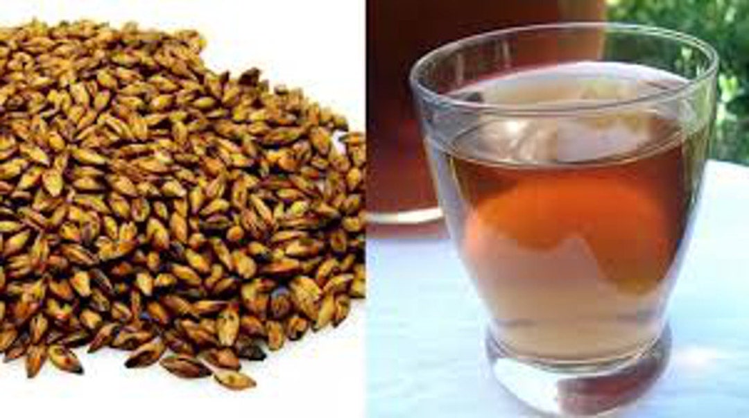Easy Homemade Roasted Barley Tea Recipe 2023 AtOnce