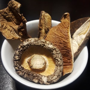 1 oz Wild Forest Mushrooms (Dried)