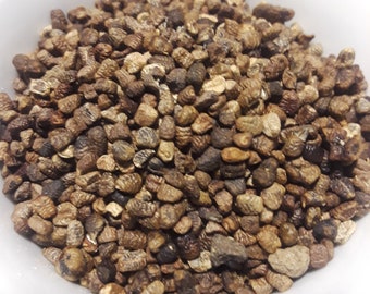 Cardamom Seeds Decorticated