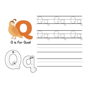 May include: An educational worksheet featuring the letter "Q" with a quail illustration. The image includes tracing exercises for the uppercase and lowercase "Q", along with the phrase "Q is for Quail". The background is white with yellow borders.