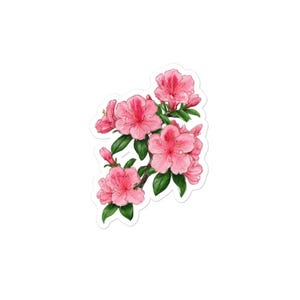 Pegatina de Azalea Bonita en Rosa