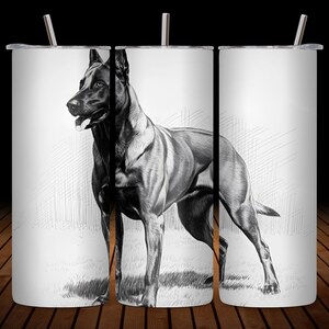 Tumbler Wrap per cani da lavoro Malinois belga - Stile schizzo realistico - Sublimazione PNG - Download digitale regalo per amanti dei cani