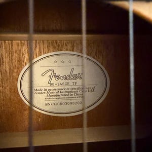 Pu&ograve; includere: Primo piano dell'interno di una chitarra acustica, con l'etichetta Fender. L'etichetta ovale mostra il logo Fender, le informazioni sul modello "DG-14SCE TF" e il numero di serie CC:CD03098202. &Egrave; visibile la venatura del legno della chitarra.