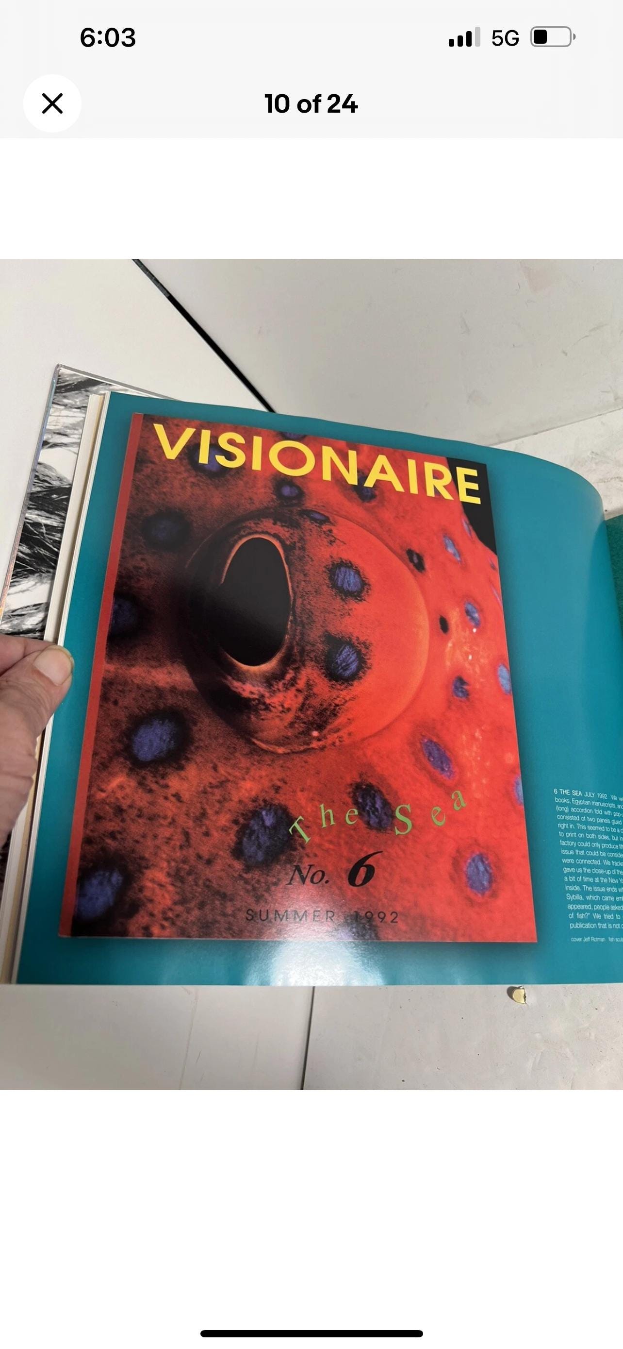 Dreaming in Print, A Decade of Visionaire #YNJR82 - Etsy