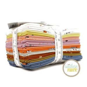 Pips - Fat Eighth Bundle (29 pcs) by Aneela Hoey for Moda