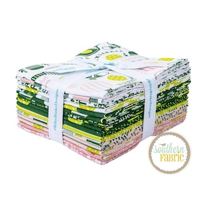 Pickleball - Pacote Fat Quarter (15 unidades) da My Mind&#39;s Eye para Riley Blake