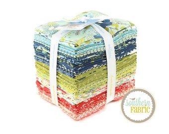 Feed My Soul - Fat Quarter Bundle (30 pcs) by Sandy Gervais for Riley Blake