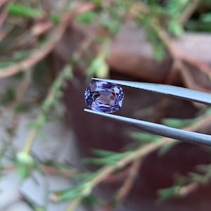 Natural Untreated Sapphire Gemstone: 1.25 Ct Oval Cut Stone