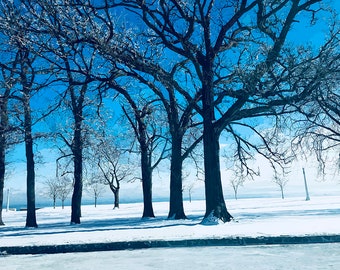 Lake Shore Drive on Christmas Eve