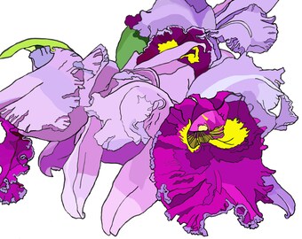 Orchid Cluster