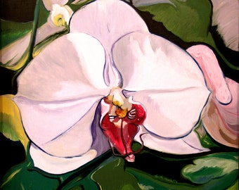 Moth Orchid