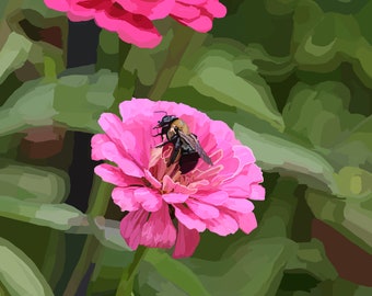 Bee on Pink Zinnia