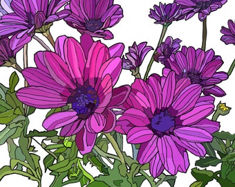 Purple Daisys