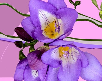 Spring Crocus Print: Limited Edition Floral Art on Rag Paper