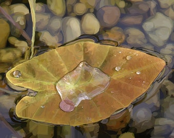 Leaf in Water