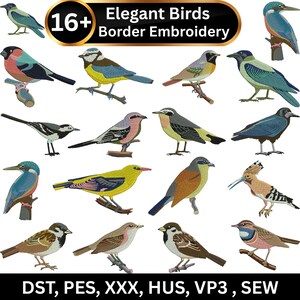 Puede incluir: Una colección digital de más de 16 diseños de bordado de aves que muestran varias especies en hilo de colores. El texto "16+ Elegant Birds Border Embroidery" aparece en la parte superior y los formatos "DST, PES, XXX, HUS, VP3, SEW" abajo.