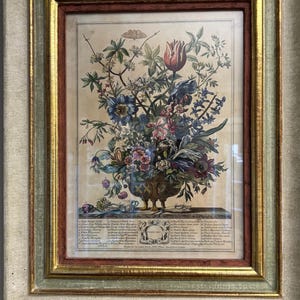 Puede incluir: Una impresión botánica vintage enmarcada que presenta un ramo de flores coloridas en un jarrón. La impresión incluye un título y un texto que describe las flores del ramo.