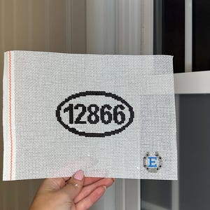 May include: White needlepoint canvas with the number "12866" in a black oval. A small, pixelated blue and white "E" is in the lower right corner. The canvas is held up by a hand.