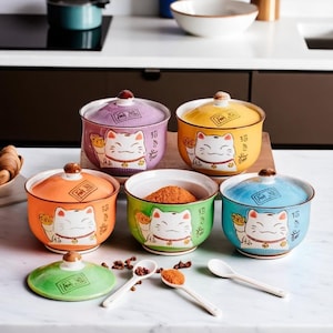 Tarro de cerámica con diseño de gato pintado a mano / Condimento japonés con tapa / Aceitera bonita / Caja de regalo de cocina con dibujos animados / Especiero kawaii