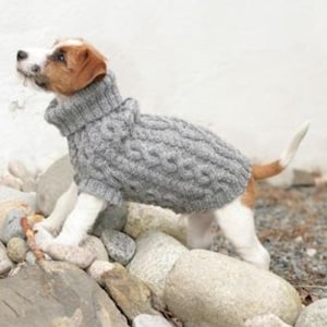 May include: A small dog wearing a grey cable-knit sweater with a turtleneck collar. The dog has brown and white fur and is standing on a pile of rocks. The sweater covers the dog's body and legs.