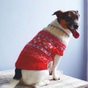 Op de afbeelding: Een hond draagt een rood-witte trui met patroon. De trui heeft een fair isle-ontwerp met witte sneeuwvlokken en grijze accenten. De hond is wit met zwarte en bruine markeringen.
