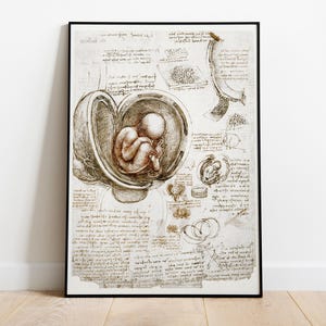 Leonardo da Vinci, Studio del feto nell'utero, 1510 - Poster di alta qualità, carta semilucida premium