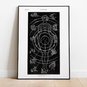 Zodiaco vintage, diagramma anatomico, astrologia e influenza planetaria - Quadro decorativo per la casa, poster di alta qualità, carta semilucida premium