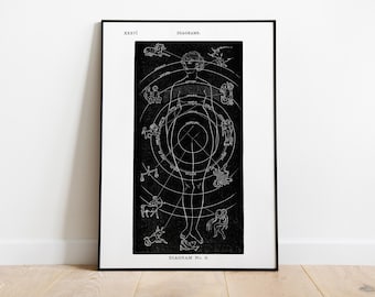 Astrologi Anatomi Poster - Esoterisk Stjärntecken Diagram Tryck - Vintage Astrologi Väggdekor
