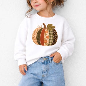 May include: A white long-sleeve sweatshirt featuring a large, central pumpkin graphic. The pumpkin is composed of vertical fabric panels in various patterns, including floral, plaid, and solid colors in shades of orange, green, and brown.