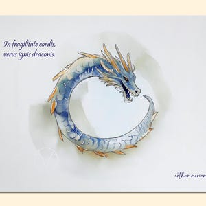Illustration style aquarelle – Dragon & citation latine | Carte artistique à offrir ou encadrer