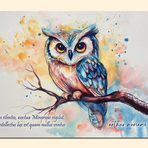 Illustration style aquarelle – Chouette d'Athéna & citation latine | Carte artistique à offrir ou encadrer