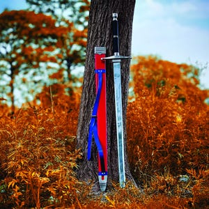 May include: A long, silver sword with a black handle and a red and blue sheath leans against a tree trunk. The sword has a crossguard and a pointed tip. The sheath is red with blue straps. The background features autumn foliage.