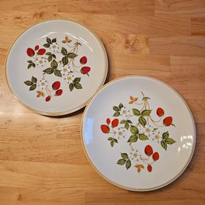 Vintage Strawberry n&#39; Cream Sheffield Dinner Plates (2)- 10 1/2 inches