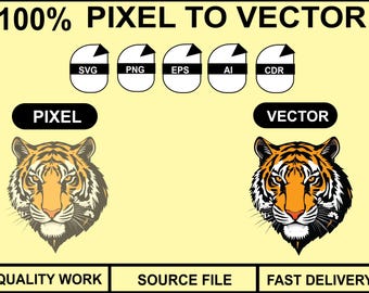 Pixel to Vector Conversion | Logo Redraw & Vector Tracing
