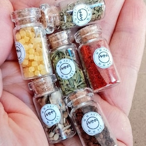 Frascos de hierbas y especias en miniatura: juego de despensa para casa de muñecas a escala 1/12