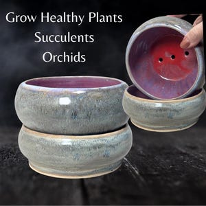 May include: Two grey ceramic pots with a purple glaze. The top pot has three drainage holes. The text "Grow Healthy Plants Succulents Orchids" is visible above the pots.