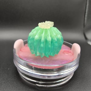 Colorful Cactus Topper!
