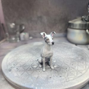 Benutzerdefinierte 3D gedruckte und handbemalte Nachbildungen Ihrer Haustiere oder Fellbabys