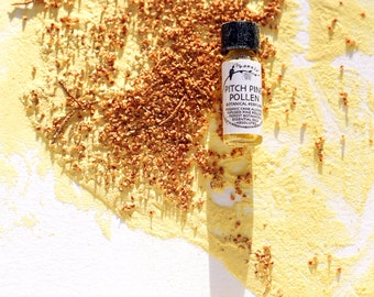 Pitch Pine Pollen - une fleur d'arbre envoûtante et un pollen de pin ambré - parfum naturel - flacon de 1 ml