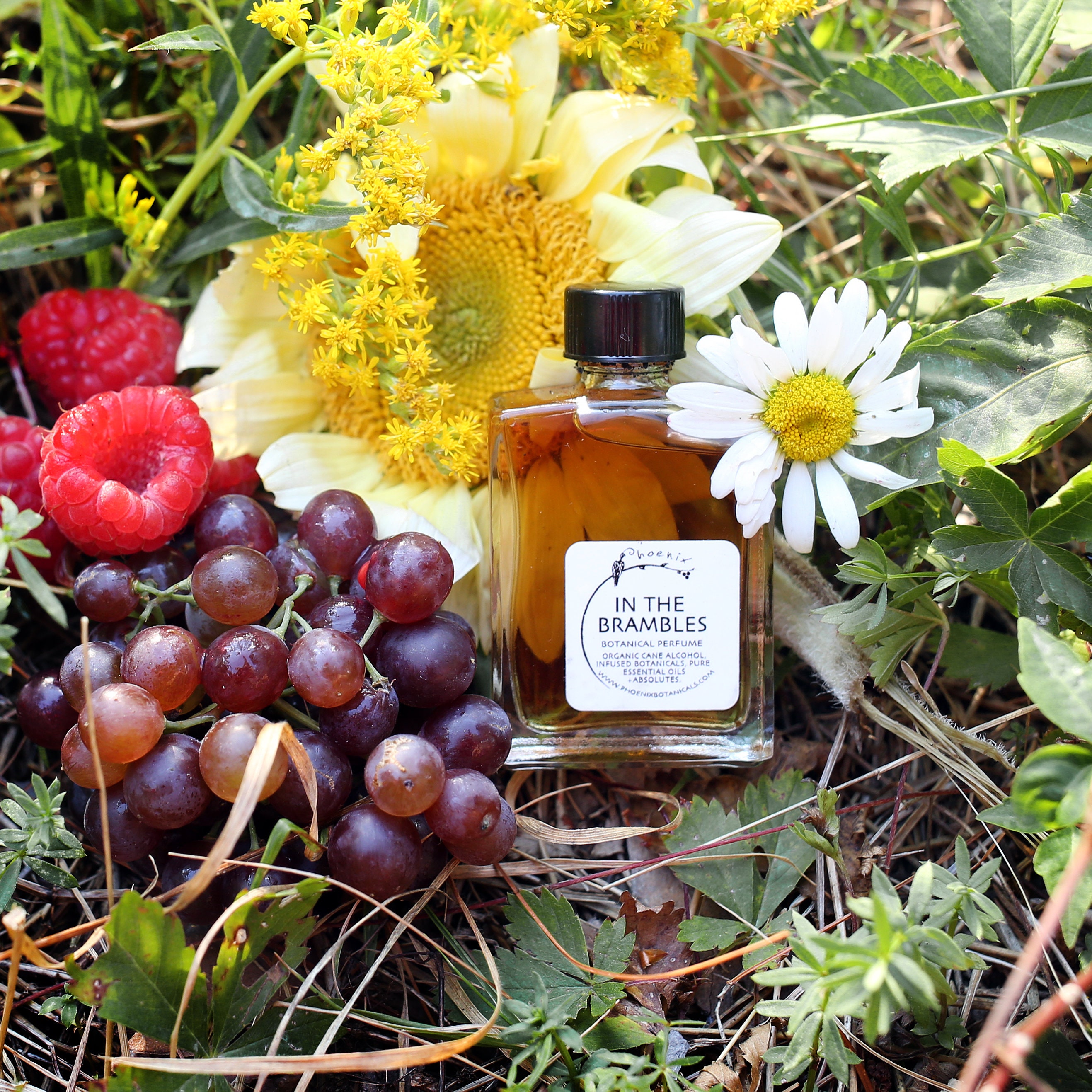 In The Brambles - A Late Summer Floral Berry - botanical perfume - choose your size
