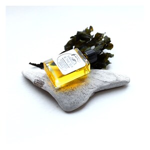 Pode incluir: Um pequeno frasco de vidro com um l&iacute;quido amarelo dentro. O frasco tem um r&oacute;tulo branco com o texto "Vanilla & The Sea" e "Botanical Perfume Oil" impresso nele. O frasco est&aacute; sentado em um peda&ccedil;o de madeira flutuante.