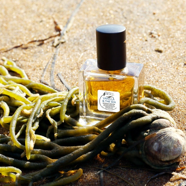 Vanilla & The Sea - a blooming oceanic amber- award nominated natural perfume- choose your size