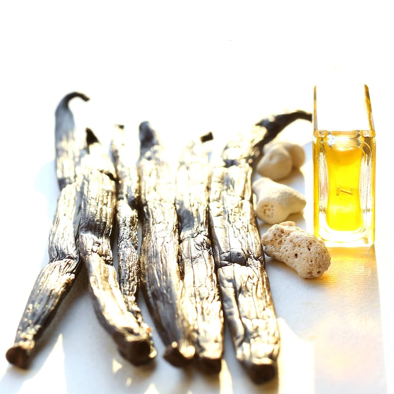 Triple Vanilla botanical perfume single note luxe aphrodisiac all organic infused Vanilla choose your size image 1