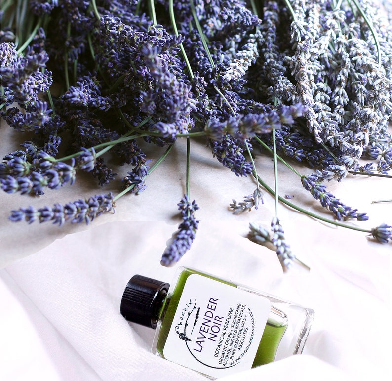 May include: A small glass bottle of lavender noir botanical perfume with a black cap. The bottle is sitting on a white surface with lavender flowers scattered around it. The label on the bottle reads "Phoenix Lavender Noir Botanical Perfume Organic Grape Sugarcane Pure Essential Oils Absolutes Alcohol, Infused Botanicals www.phoenxbotanicals.com"