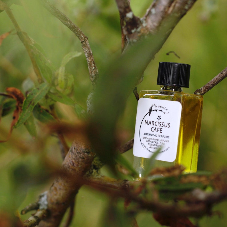 PhoenixBotanicals Narcissus Cafe Perfume - Thumbnail 5