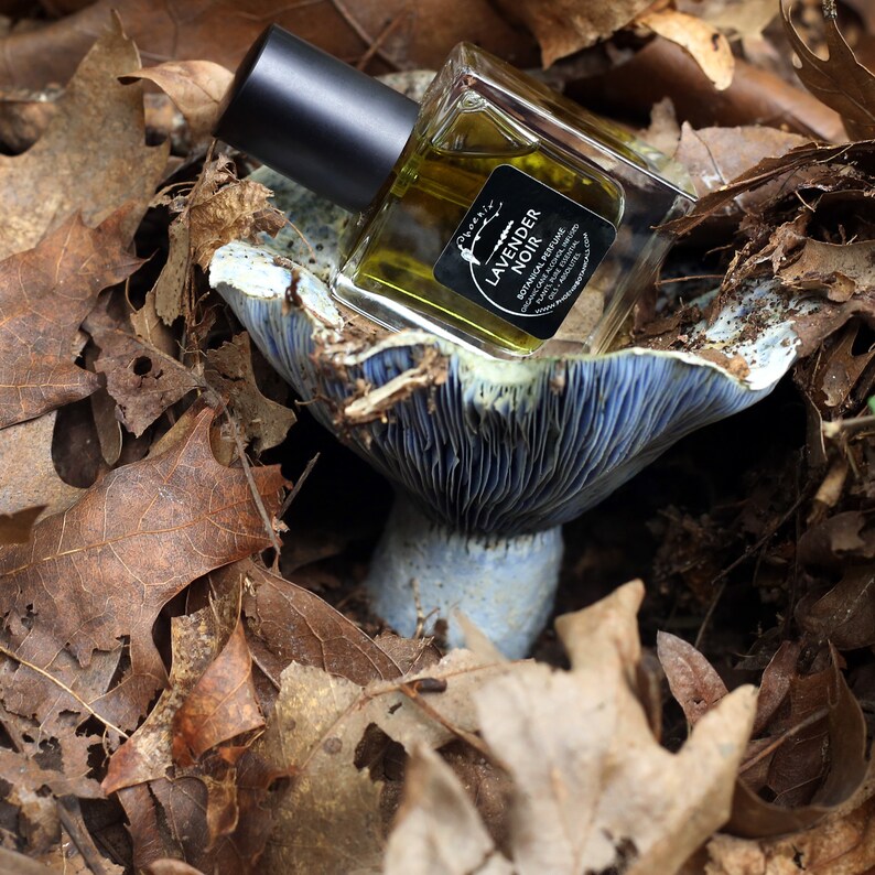 May include: A small glass bottle of lavender noir botanical perfume sits on a blue and white mushroom-shaped ceramic dish. The bottle has a black cap and a black label with white text that reads "Lavender Noir Botanical Perfume".